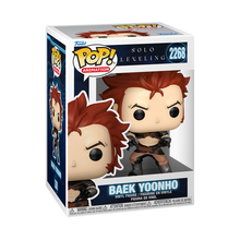 Load image into Gallery viewer, Funko Solo Leveling Pop! Baek Yoonho sold by Geek PH