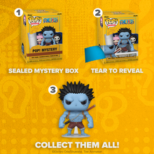 Load image into Gallery viewer, Funko Pop Mystery One Piece S15