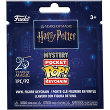 Load image into Gallery viewer, Funko Harry Potter - Mystery Pocket Pop! Keychain
