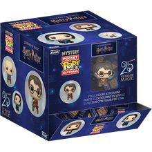 Load image into Gallery viewer, Funko Harry Potter - Mystery Pocket Pop! Keychain