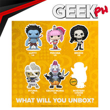 Load image into Gallery viewer, Funko Pop Mystery One Piece S15